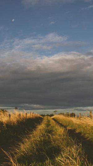 站SEO工具包截图5