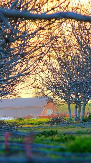 抖音seo关键词指数工具截图5