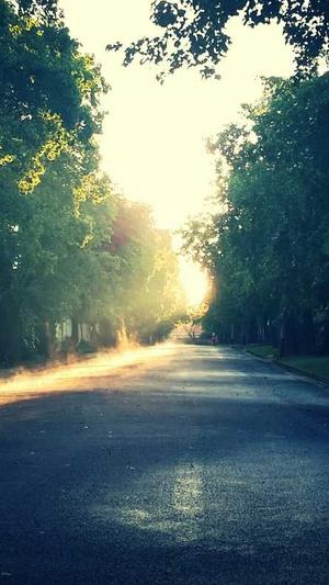 seo站长工具哪个更好截图4