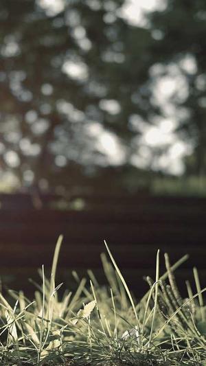 泛目录使用教程截图3