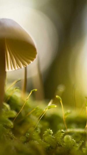 公司建设个网站截图1