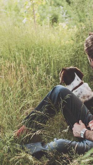 镇江网站建设截图3