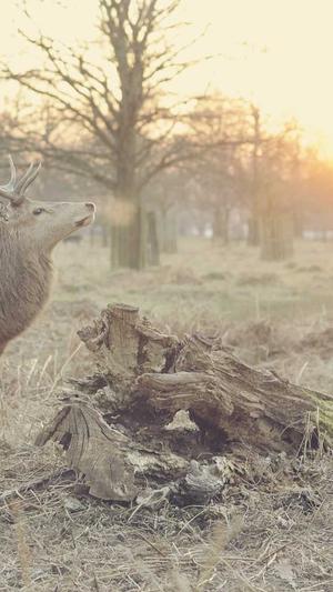 蜘蛛池免费app运营截图3