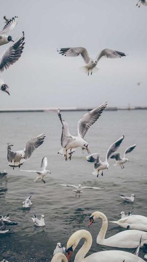 郑州seo在线优化工具截图3