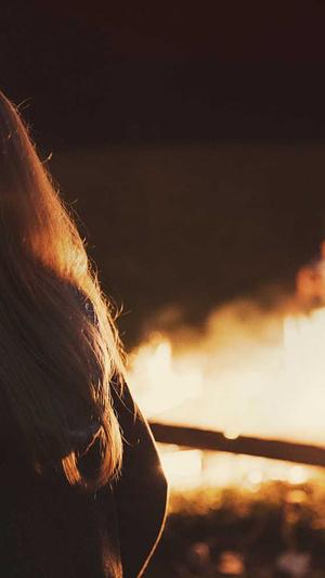 建设部网站截图4