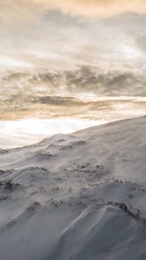 seo网站关键词优化工具截图2