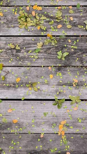 英文seo关键字工具截图2