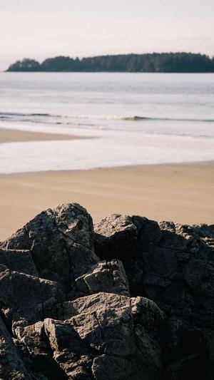 蜘蛛池 在的徽ahua seσ截图1