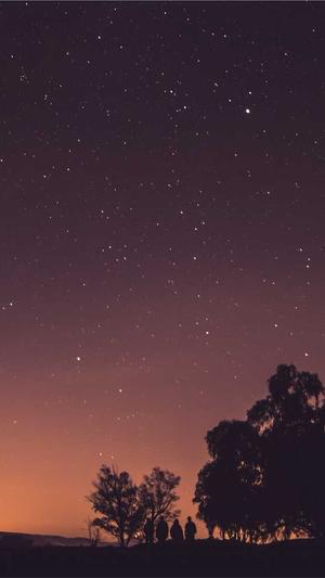 蜘蛛池免费引流截图1