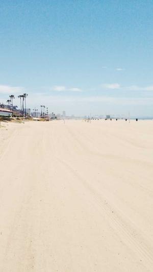 自己搭建蜘蛛池截图2