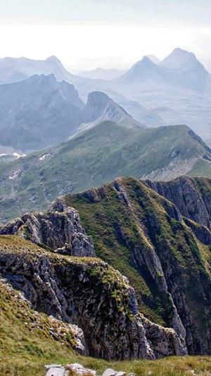 小旋风蜘蛛池授权截图1
