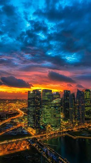 seo必备工具截图5