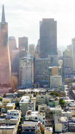 泛目录要搭配蜘蛛池吗截图1