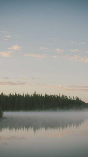 官网seo优化工具截图3