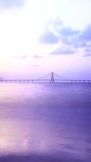 2020最新泛目录截图3