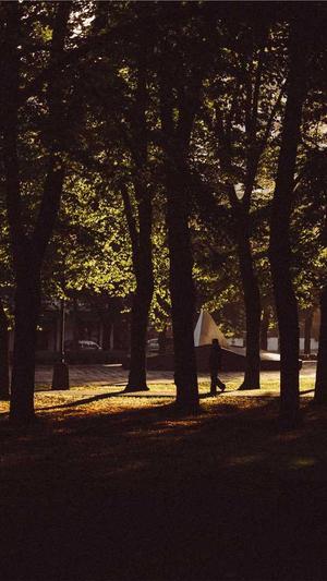 重庆seo网络优化去哪找截图2