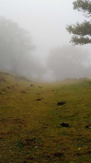 蜘蛛池快速推广截图3