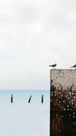 企业网站建设方案截图1