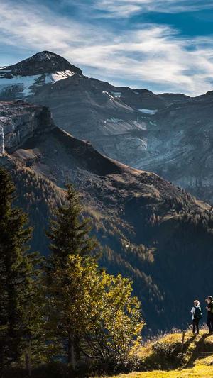 SEO查询工具有哪些截图1