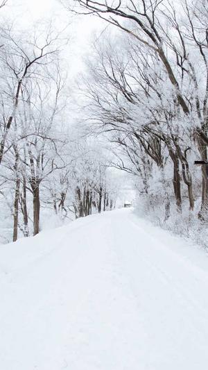 泛目录怎么操作截图2