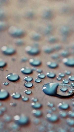 网站建设方案下载截图2