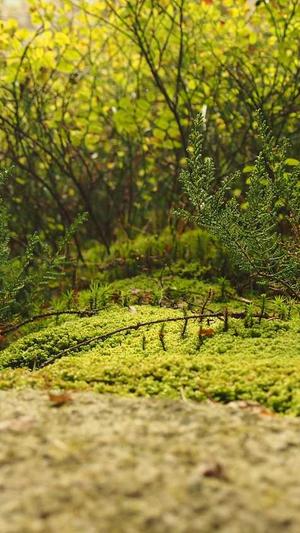 广州 网站建设截图2