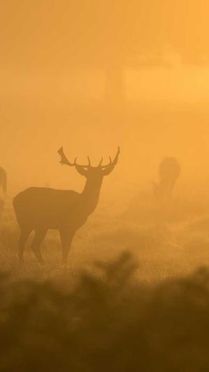 百度蜘蛛池的做法截图1