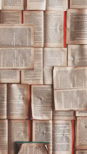 泛目录seo 资源截图5