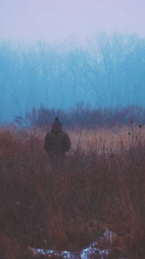 建设网站的网站首页截图1