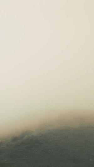 零距离泛目录站群截图3