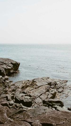 蜘蛛池软件推广渠道截图3