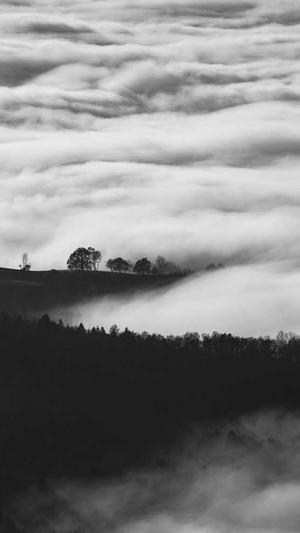 关于seo优化截图1