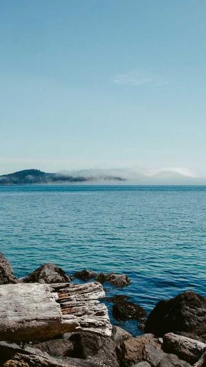 宝安网站建设截图1