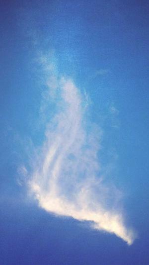 seo黑帽培训推广工具截图4