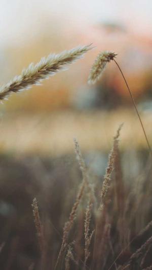 蜘蛛池出租托管截图2