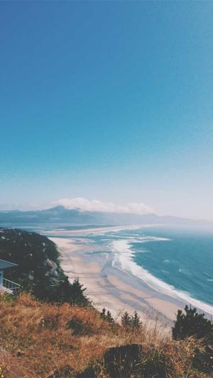 东莞seo优化截图2