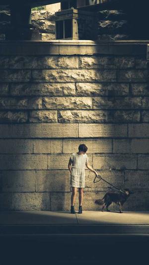 seo推广优化公司截图1